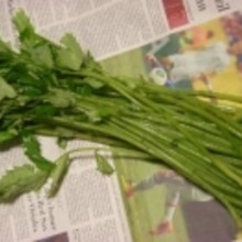 葉っぱも食べられます 山菜 青ミズのお浸し レシピ 作り方 By ブルーボリジ 楽天レシピ 葉っぱも食べられます 山菜 青ミズのお浸し レシピ 作り方 By ブルーボリジ 楽天レシピ